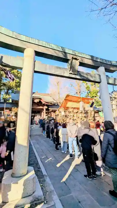 鳩ヶ谷氷川神社の鳥居