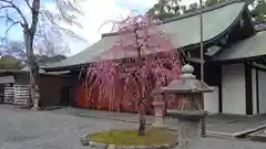 城南宮の建物その他