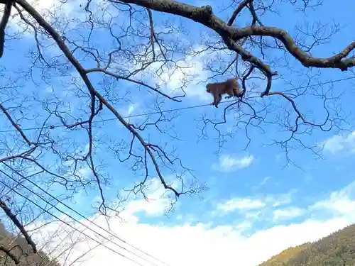智寂坊(山梨県)
