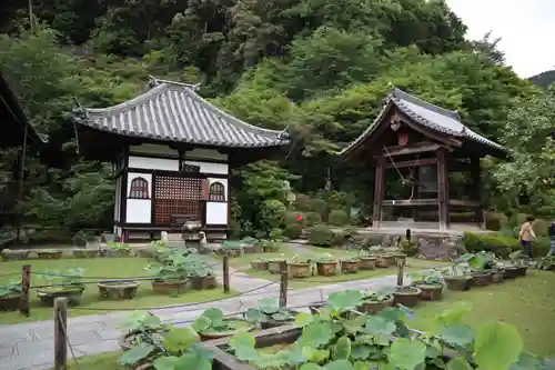 三室戸寺(京都府)