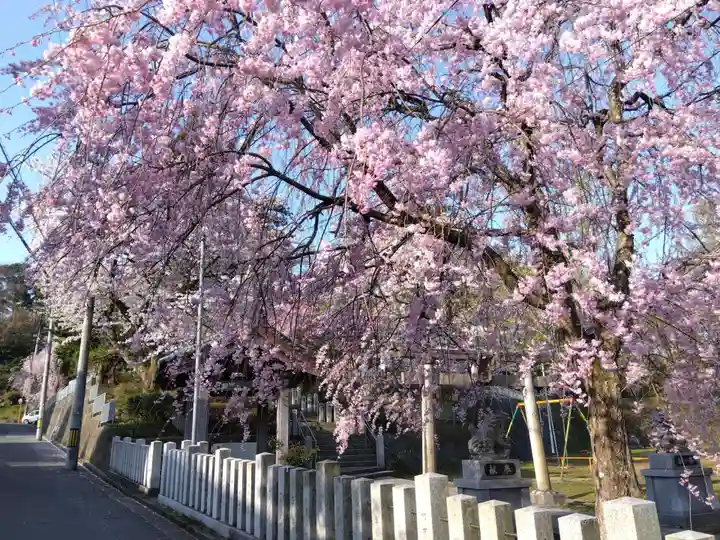 熊野神社の自然