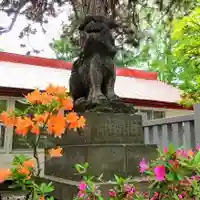 彌彦神社 (伊夜日子神社)の狛犬