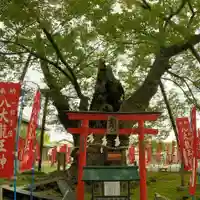 秩父今宮神社の自然