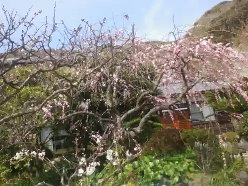 大寳寺の景色