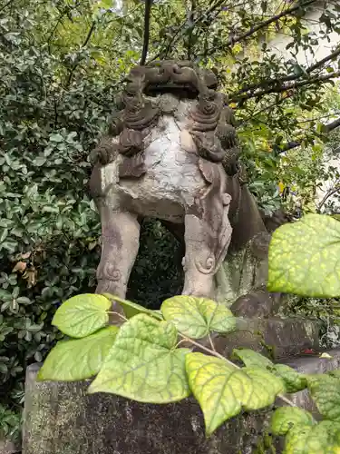 安井金比羅宮の狛犬