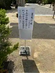 誉田八幡宮(大阪府)