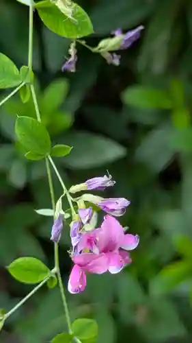 梨木神社(京都府)