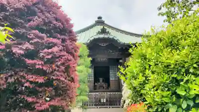 収玄寺(神奈川県)