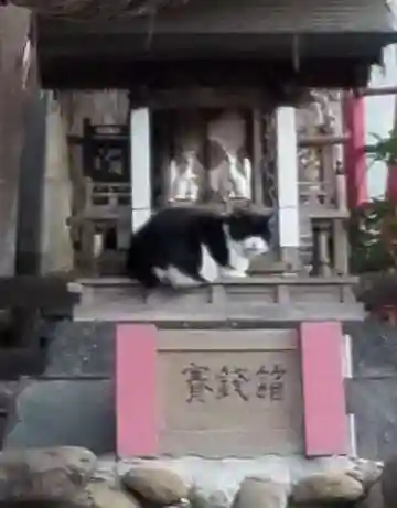 向陵稲荷神社の動物