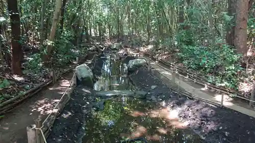 出雲大社相模分祠の自然