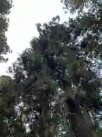 大宮温泉神社(栃木県)