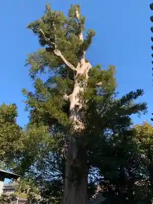 皇産靈神社(千葉県)