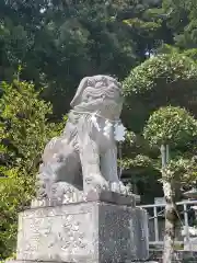 飽波神社の狛犬