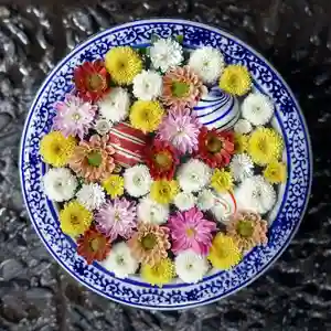 帯廣神社の手水舎(2024年08月16日(金) 13時29分50秒投稿)