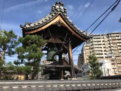 長徳寺の建物その他