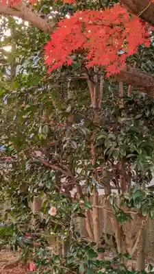 相国寺（相国承天禅寺）(京都府)