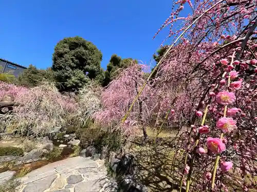 城南宮(京都府)