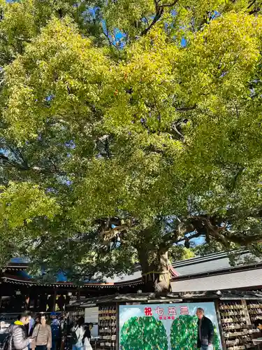 明治神宮(東京都)