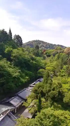 清水寺の景色