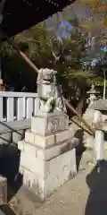 大日孁社の狛犬