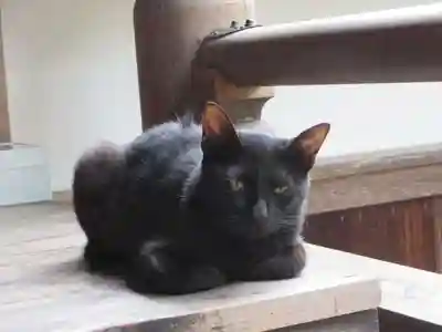 智恩寺(京都府)