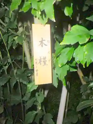 長谷寺のその他建物