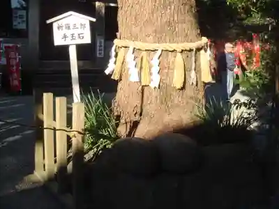 八雲神社(鎌倉・大町)の自然