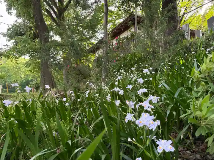 糀谷八幡宮(埼玉県)