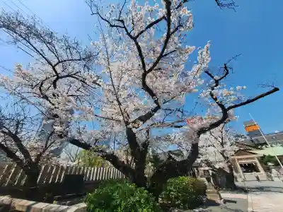 櫻宮(大阪府)