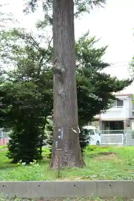 甲神社(神奈川県)