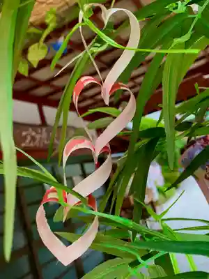 仙台大神宮の芸術