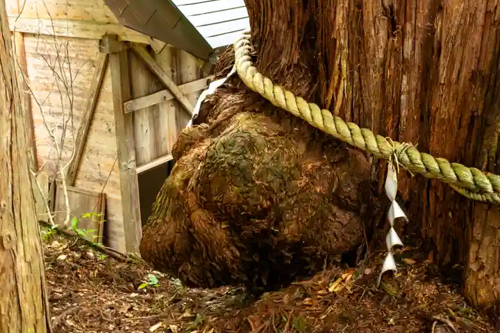 戸隠神社火之御子社(長野県)