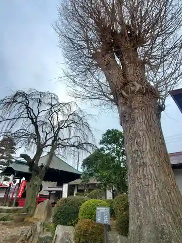 長松院(福島県)