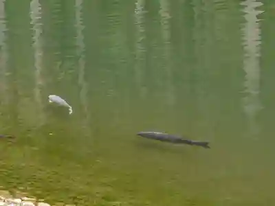 古峯神社(栃木県)