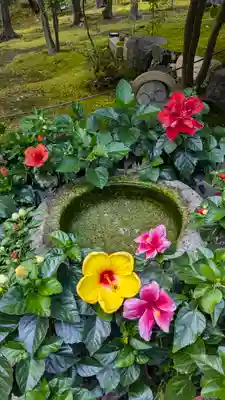 勝林寺(京都府)