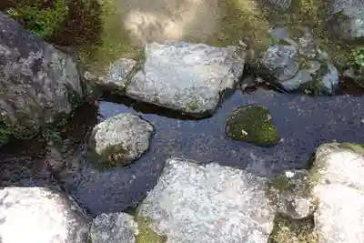 実光院(京都府)