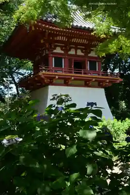 瀧泉寺（目黒不動尊）(東京都)
