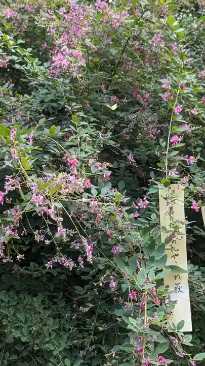 梨木神社(京都府)