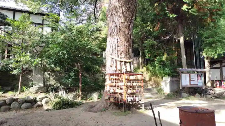 御袖天満宮(広島県)