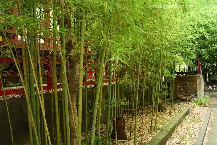 東神奈川熊野神社(神奈川県)