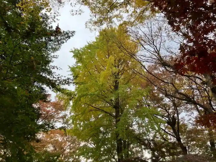 淨眞寺(東京都)