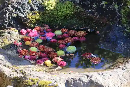 大鏑神社の手水