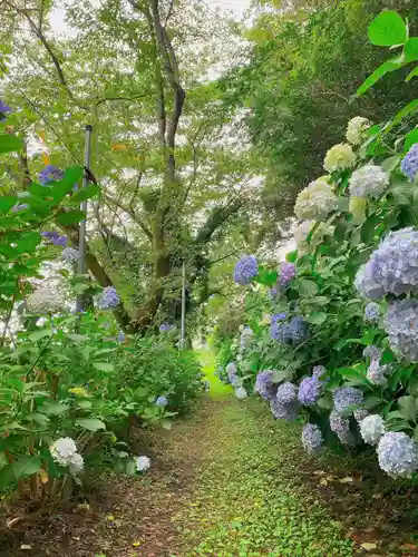 蟻通神社(和歌山県)