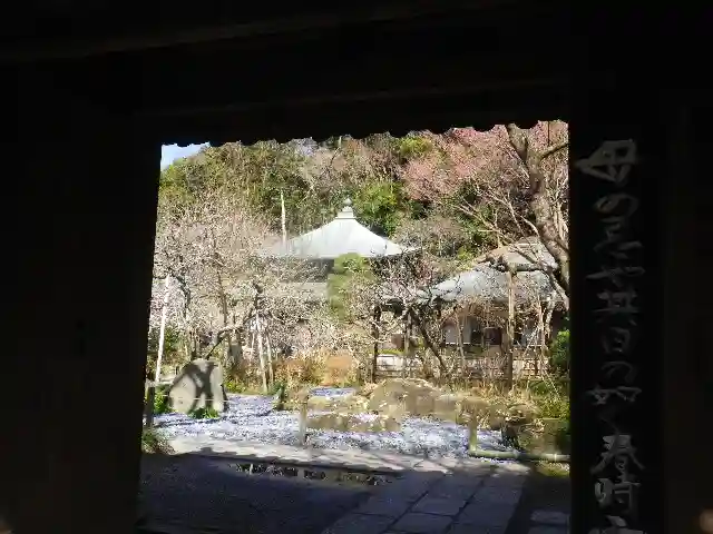 瑞泉寺の山門・神門