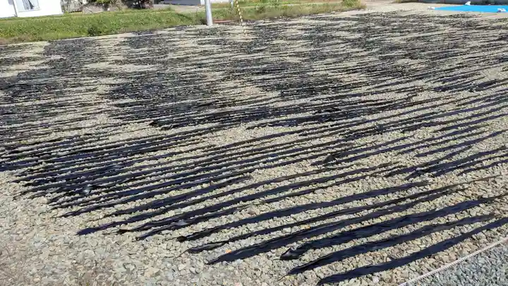 稲荷神社の庭園