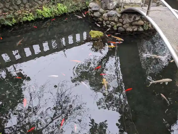 鈴鹿明神社の動物