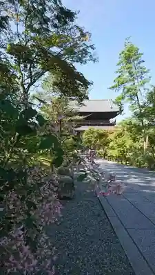 南禅寺のその他建物