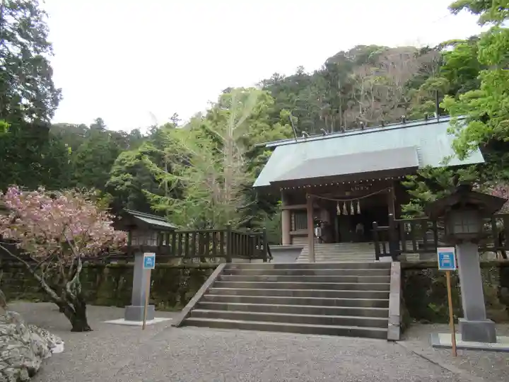 安房神社の本殿・本堂