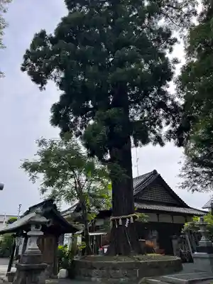 國魂神社の本殿・本堂