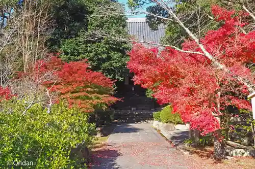 太山寺(兵庫県)